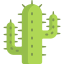 Cactus icon 64x64