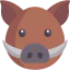 Boar icon 64x64