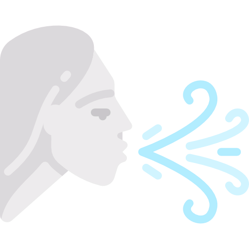 Wind icon