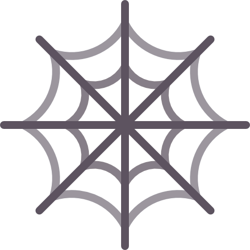 Spider web icon