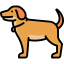 Dog icon 64x64
