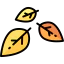 Leaves icon 64x64