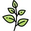 Herb icon 64x64