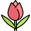 Tulip icon 64x64