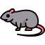 Rat icon 64x64