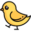 Chicken icon 64x64