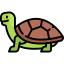 Turtle icon 64x64
