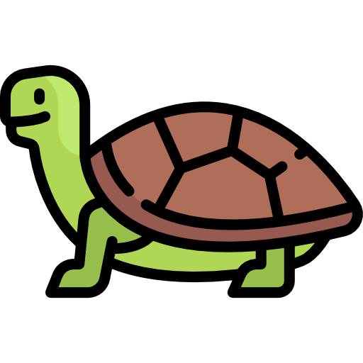 Turtle icon