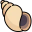 Sea snail icon 64x64