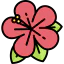 Hibiscus icon 64x64