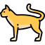 Cat 图标 64x64