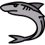 Shark 图标 64x64