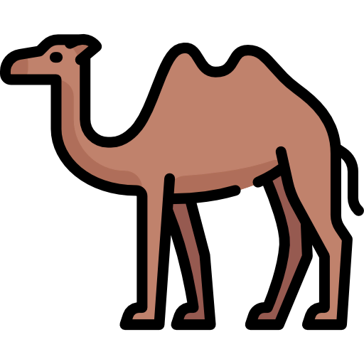 Camel icon