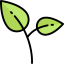 Plant 图标 64x64