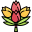 Bouquet 图标 64x64