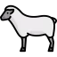 Ewe 图标 64x64