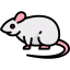 Mouse 图标 64x64