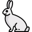 Rabbit 图标 64x64