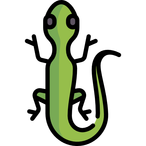 Lizard icon