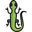 Lizard 图标 64x64