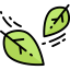 Leaves 图标 64x64