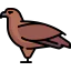 Eagle 图标 64x64