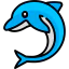 Dolphin 图标 64x64