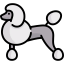 Poodle 图标 64x64