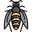 Bee 图标 64x64