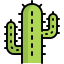 Cactus 图标 64x64