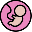 Fetus icon 64x64