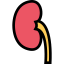 Kidney icon 64x64