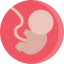 Fetus ícone 64x64