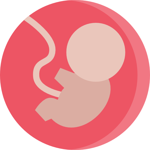 Fetus icon