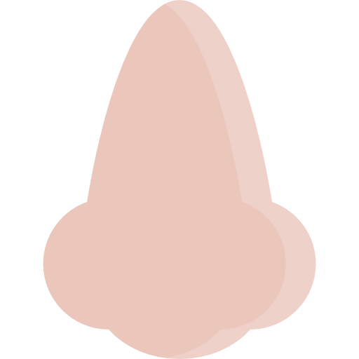 Nose 图标