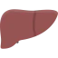 Liver icône 64x64