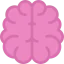Brain icon 64x64