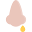 Nose icon 64x64