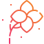 Flower icon 64x64