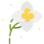 Flower icon 64x64