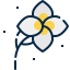 Flower icon 64x64