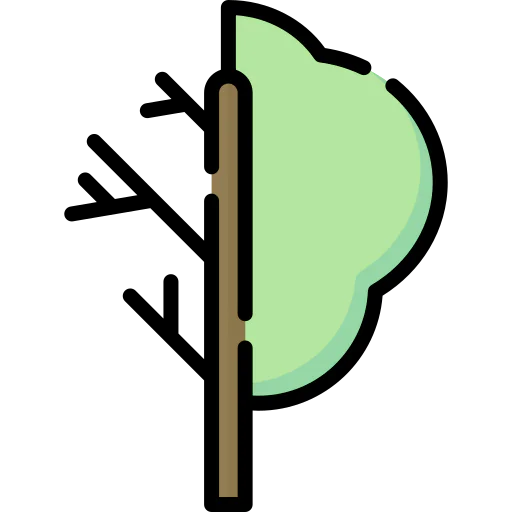 Deciduous tree 图标