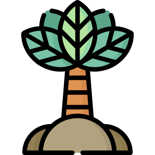 Palm icon