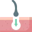 Hair transplant icon 64x64