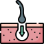 Hair transplant icon 64x64