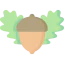 Oak アイコン 64x64