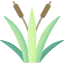Reeds アイコン 64x64
