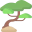 Bonsai icon 64x64