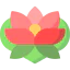 Lotus icon 64x64