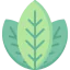 Leaves アイコン 64x64